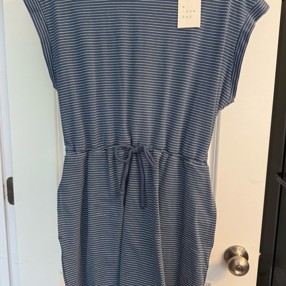 Blue Striped Dress